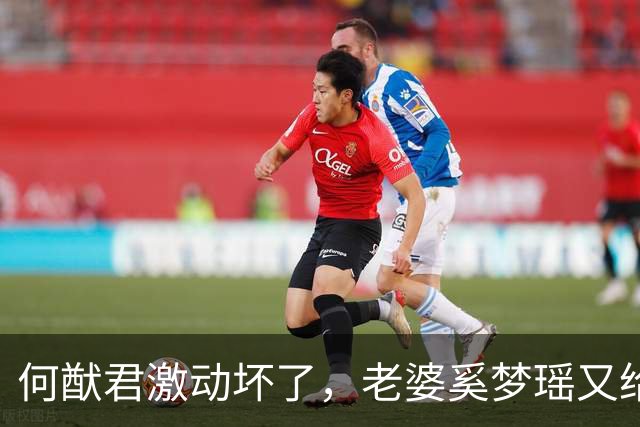 何猷君激动坏了，老婆奚梦瑶又给他争光了，原来他才是高攀的那个